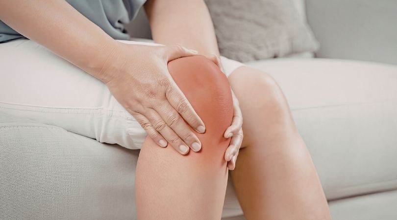 Medical illustration of the knee